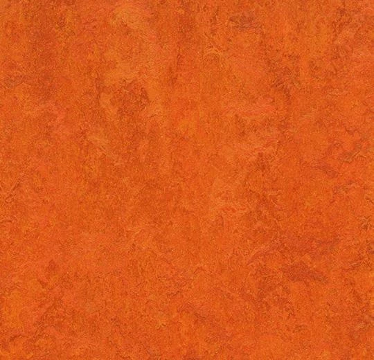 Мармолеум Forbo Fresco 3126 Kyoto
