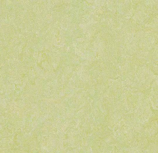 Мармолеум Forbo Real 3881 green wellness