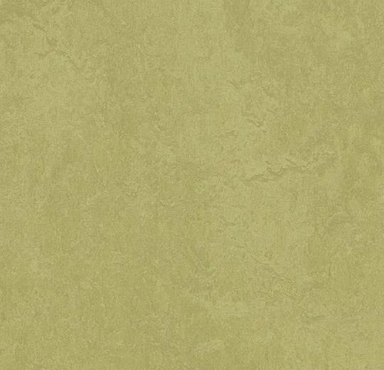 Мармолеум Forbo Fresco 3265 avocado