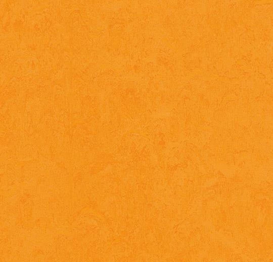 Мармолеум Forbo Fresco 3262 marigold