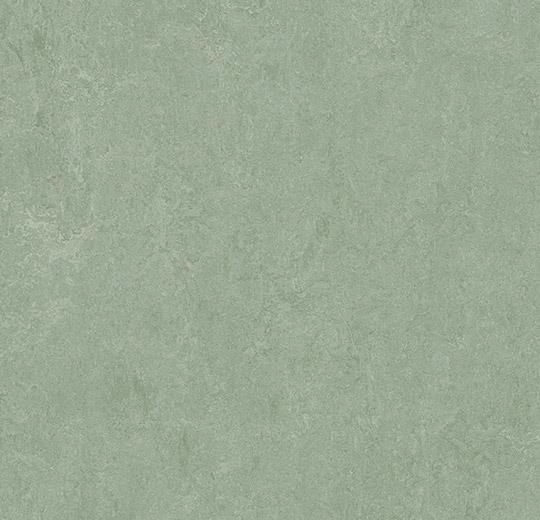 Мармолеум Forbo Fresco 3891 sage