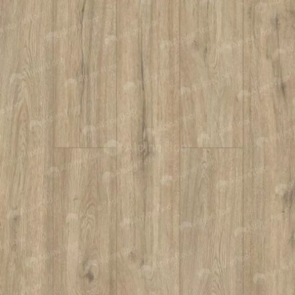 Плитка Alpine floor SOLO Анданте ЕСО 14-10