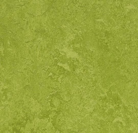 Мармолеум Forbo Fresco 3247 green