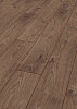 ������� Kronotex Robusto D 3591 ��� ����� ��������